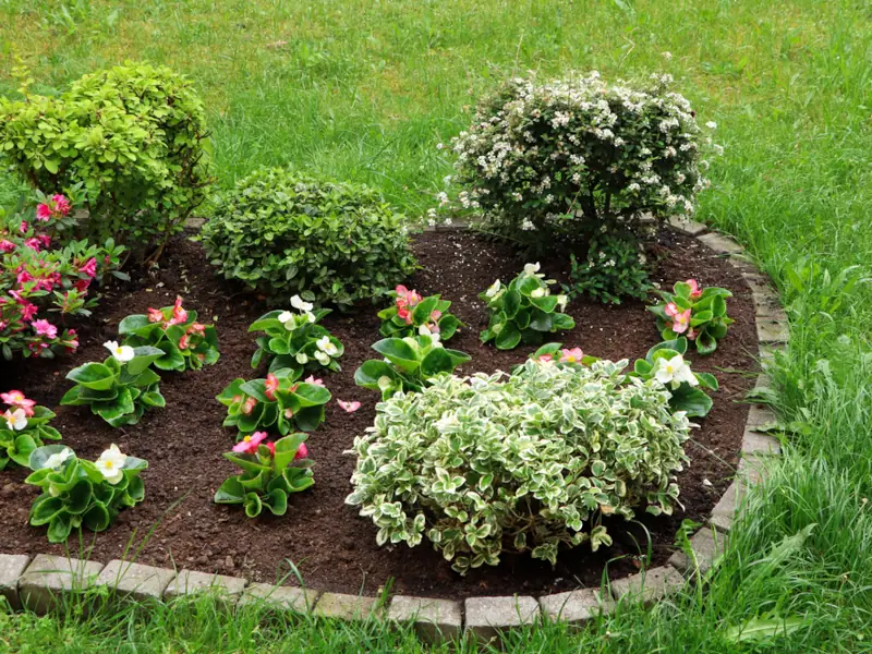 Mulch Flower Mulch Bedding