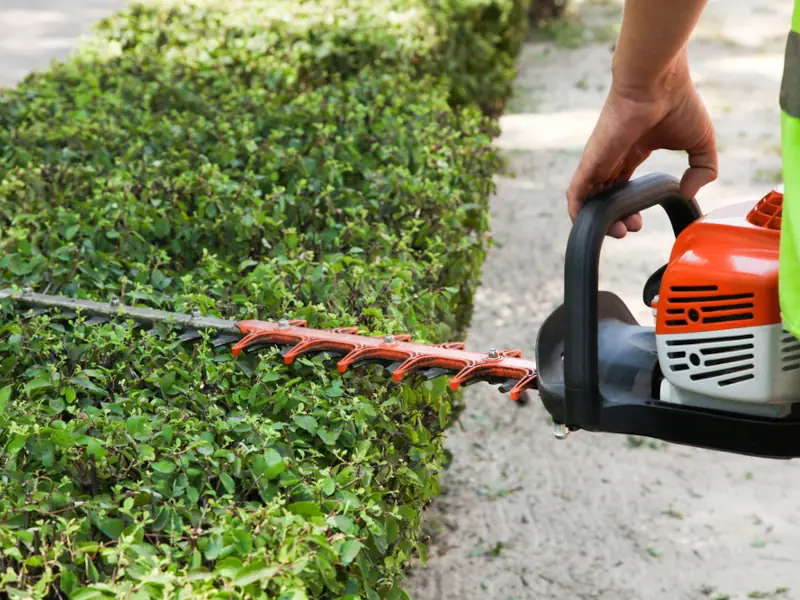Trimming Lawn Trimming